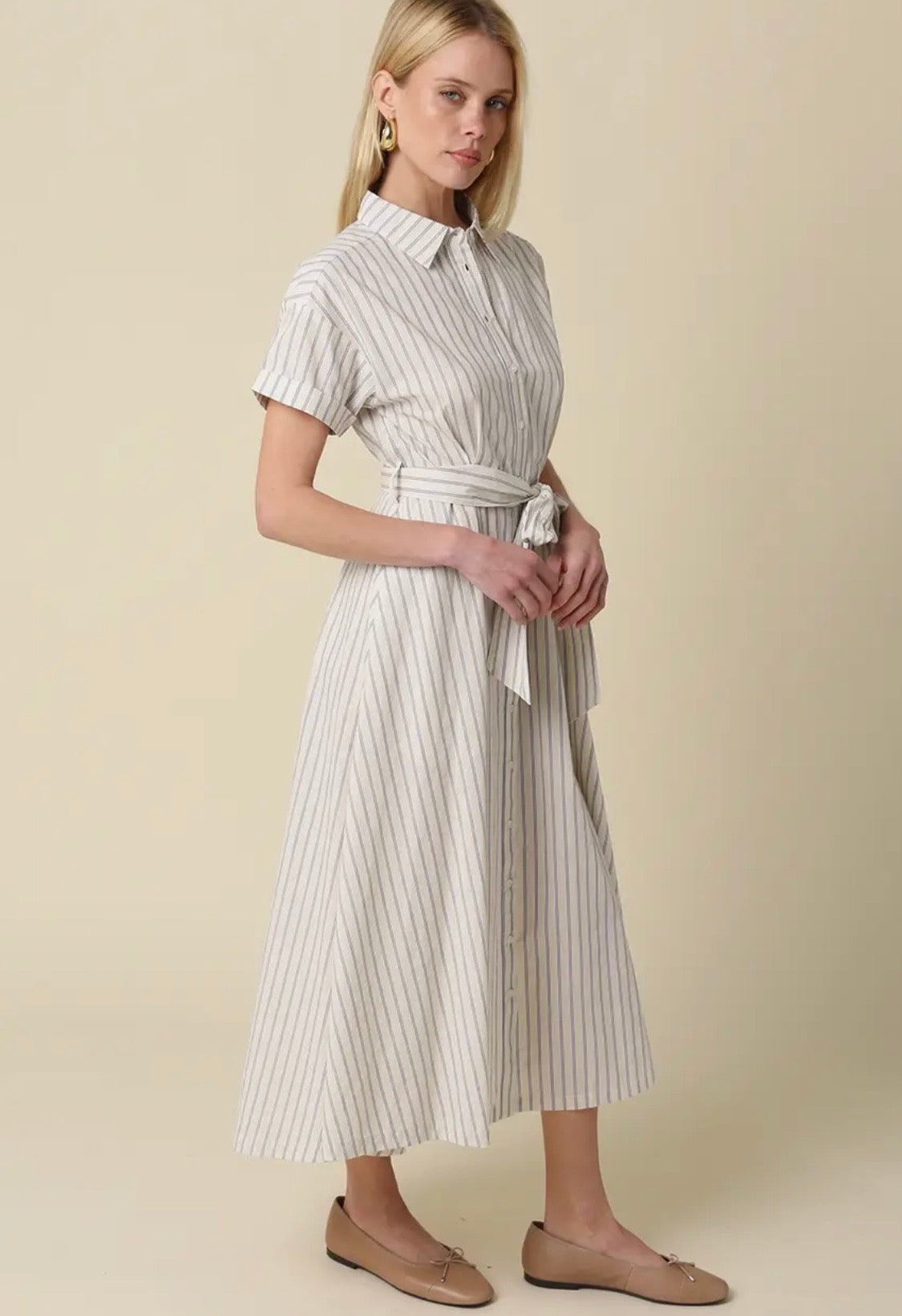 Alia Striped Dress